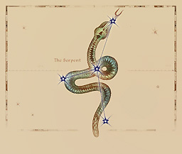 TES4-PGE3-The Serpent.jpg