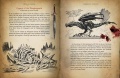 Book-tales of tamriel volume01-interior-03.jpg