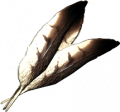 SR hawkfeathers.png