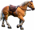 Cheval eso.png