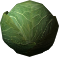 Cabbage.png