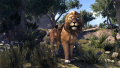 Lion royal.jpg