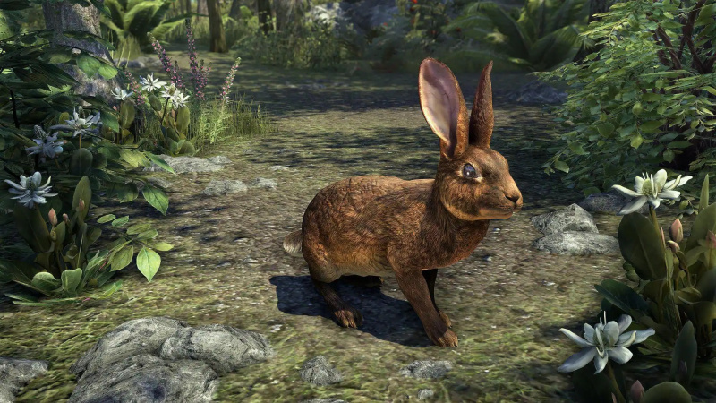 ESO - Woodhearth Brown Rabbit.jpg