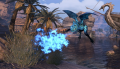 ESO - grenouille dragon03.png